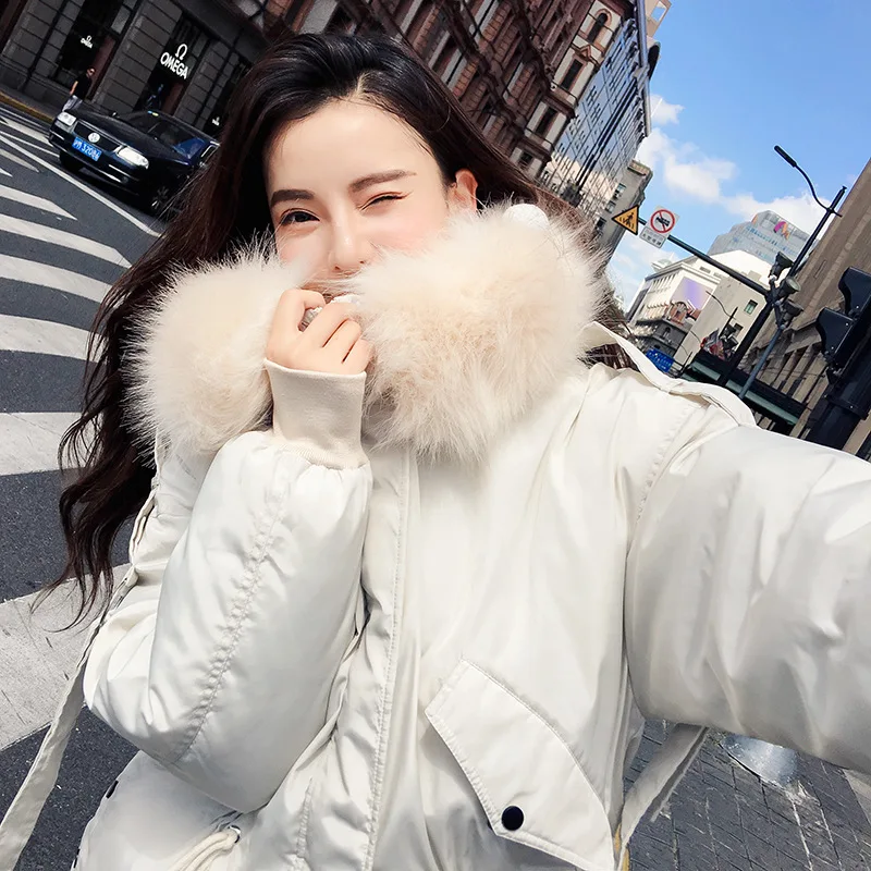 Fashion All-match Waist INS Cotton-padded Clothes Woman 2019 New Pattern Winter Loose Coat Korean Easy BF Thickening Bread Tide
Fashion All-match Waist INS Cotton-padded Clothes Woman 2019 New Pattern Winter Loose Coat Korean Easy BF Thickening Bread Tide