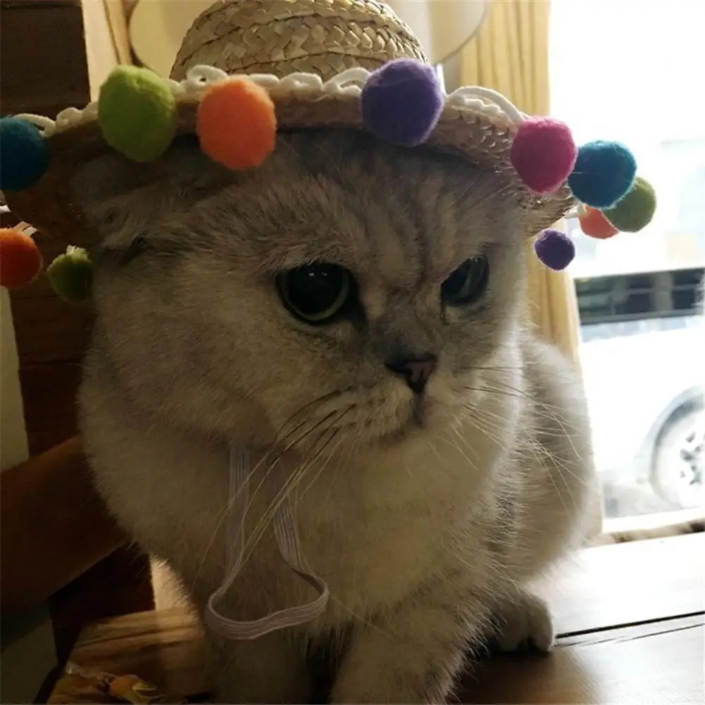 Cat Outdoor Sunscreen Farmer Hat Cat Woven Straw Visor Pet Fashion Outfit Adjustable Head Accessory For Fancy Party
Cat Outdoor Sunscreen Farmer Hat Cat Woven Straw Visor Pet Fashion Outfit Adjustable Head Accessory For Fancy Party