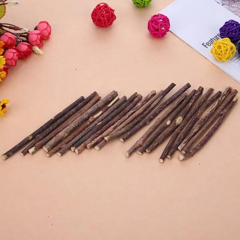 15/20pcs Natural Catnip Cat Cleaning Teeth Tool Fruit Matatabi Cat Snacks Sticks Catnip Pet Cat Molar Rod Sticks Pet Supplies
15/20pcs Natural Catnip Cat Cleaning Teeth Tool Fruit Matatabi Cat Snacks Sticks Catnip Pet Cat Molar Rod Sticks Pet Supplies
