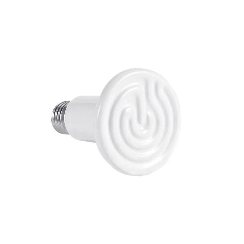 Professional Light