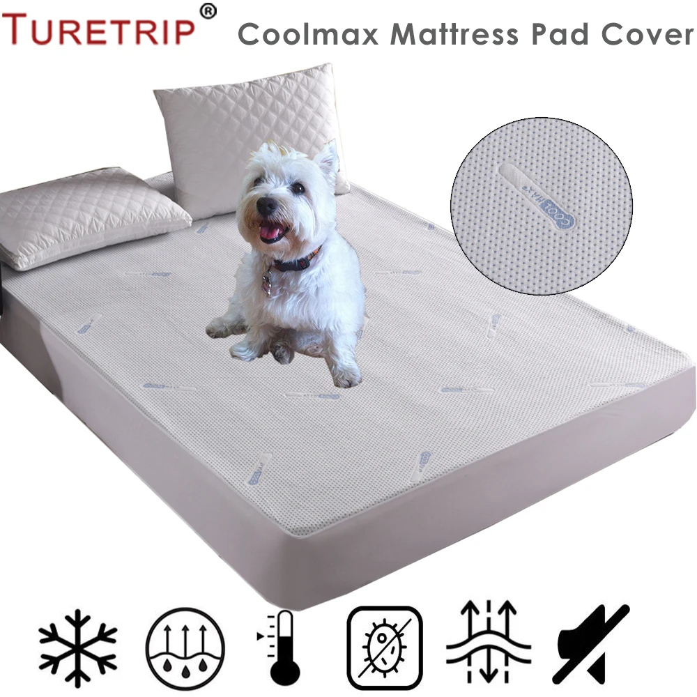 Turetrip Soft Coolmax Mattress Cover Waterproof Breathable Fitted Mattress Pad Cover Machine Washable Bed Cover For Patient
Turetrip Soft Coolmax Mattress Cover Waterproof Breathable Fitted Mattress Pad Cover Machine Washable Bed Cover For Patient