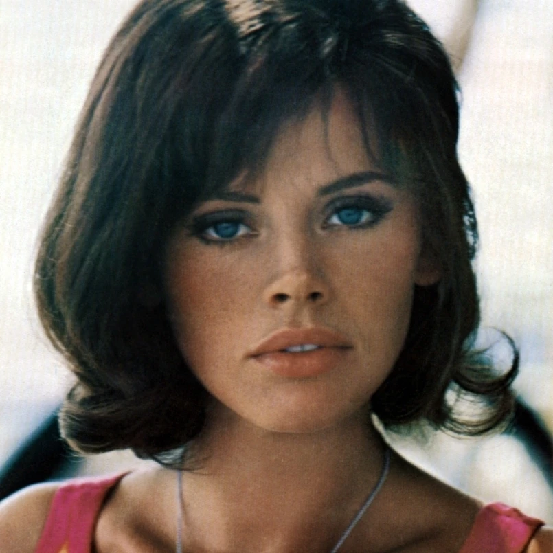 После лисы (ака качча Алла волпе) Britt Ekland 1966 фото печать (8x10)|Таблички и знаки| |
