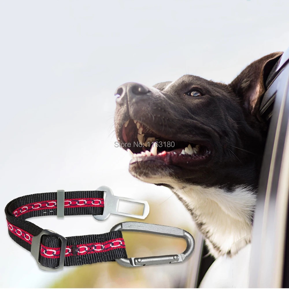 Ремень безопасности Универсальный, нейлоновый ремень безопасности для собак, 10 шт./лот
Ремень безопасности Универсальный, нейлоновый ремень безопасности для собак, 10 шт./лот