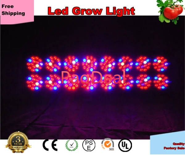 Super Apollo16 Led Grow Light High Power Full Spectrum Leds Flowering Lens Plant Growth Lamp Lighting China Supplier
Super Apollo16 Led Grow Light High Power Full Spectrum Leds Flowering Lens Plant Growth Lamp Lighting China Supplier