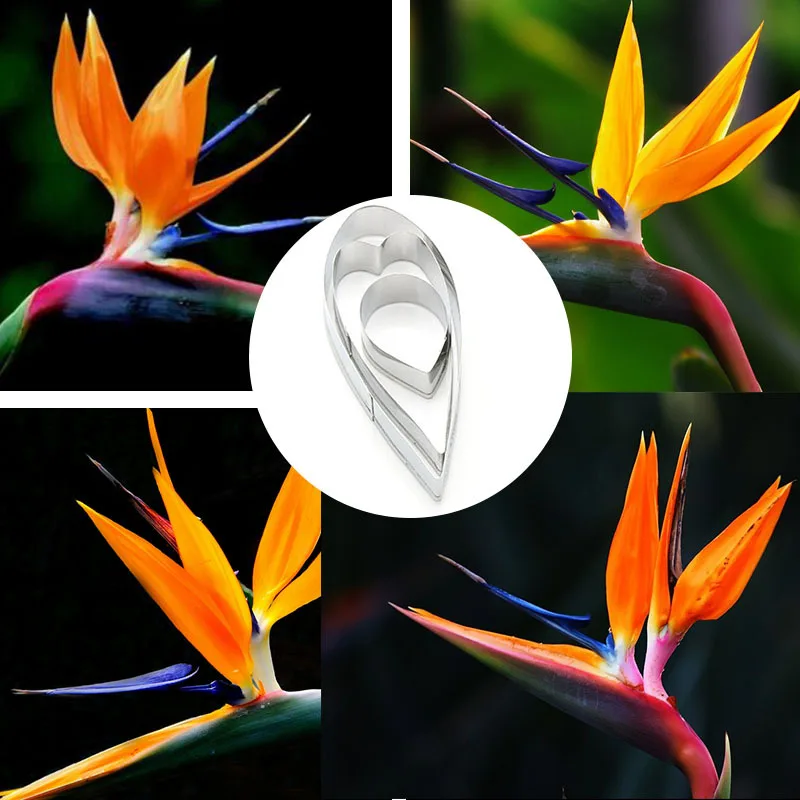 3pcs Stainless Steel Hewanglan Cutting Die Clay Mold Designer DIY Soft Polymer Clay Flower Blossom Petal Cutter Tools
3pcs Stainless Steel Hewanglan Cutting Die Clay Mold Designer DIY Soft Polymer Clay Flower Blossom Petal Cutter Tools