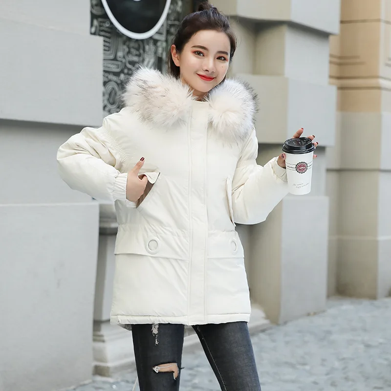 2019 Polyester Long Zipper Slim Standard Full Zippers Special Offer New Korean Fund Cotton Loose Coat Fashion Woman
2019 Polyester Long Zipper Slim Standard Full Zippers Special Offer New Korean Fund Cotton Loose Coat Fashion Woman