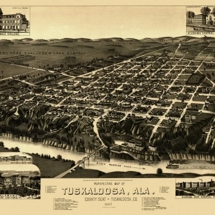 Старая карта Тускалуса Алабама 1887 Tuskaloosa County постер печать (36x54)|Таблички и знаки| |