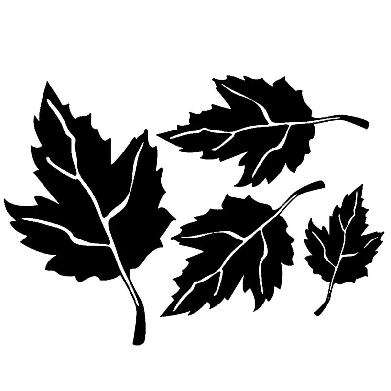Four Stickers Leaves Are Not Scratched A Lovely Black And White Cart Is Pasted On The Cover Rear Window Car Sticker
Four Stickers Leaves Are Not Scratched A Lovely Black And White Cart Is Pasted On The Cover Rear Window Car Sticker