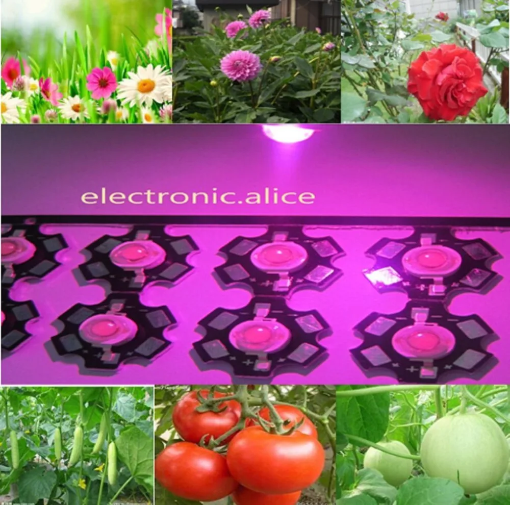 10pc 3W full spectrum 400nm-840nm led grow lights F hydroponics on 20mm star pcb New
10pc 3W full spectrum 400nm-840nm led grow lights F hydroponics on 20mm star pcb New