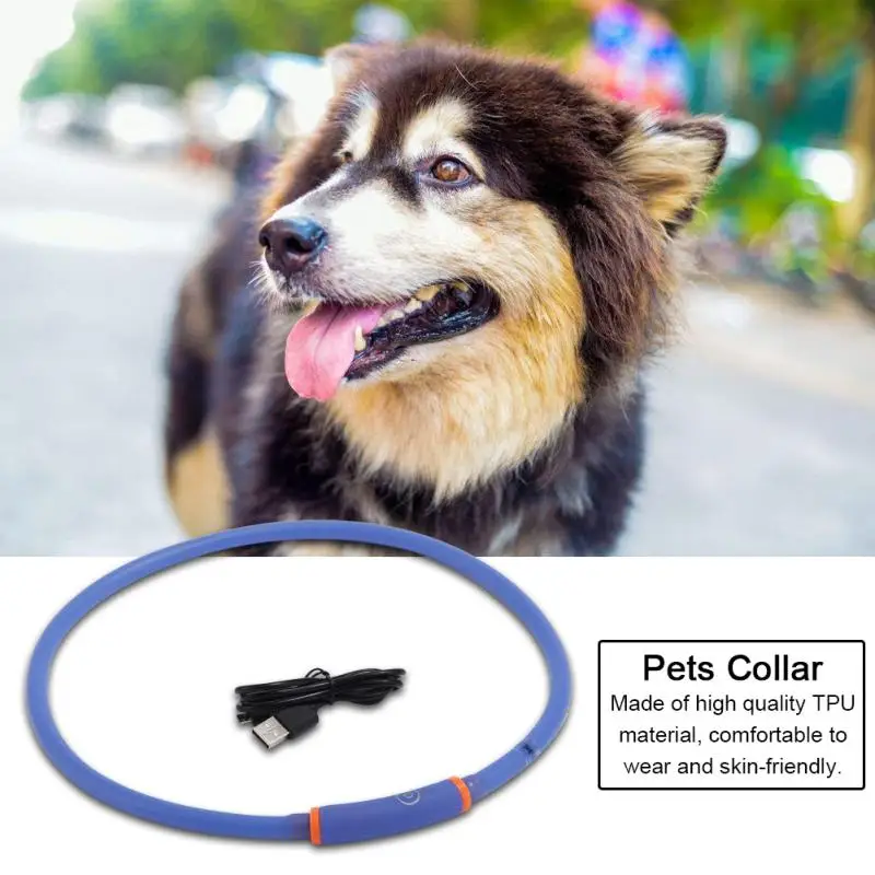 USB Rechargeable LED Pet Dog Collar Flashing Light Glow Safety Belt | Дом и сад