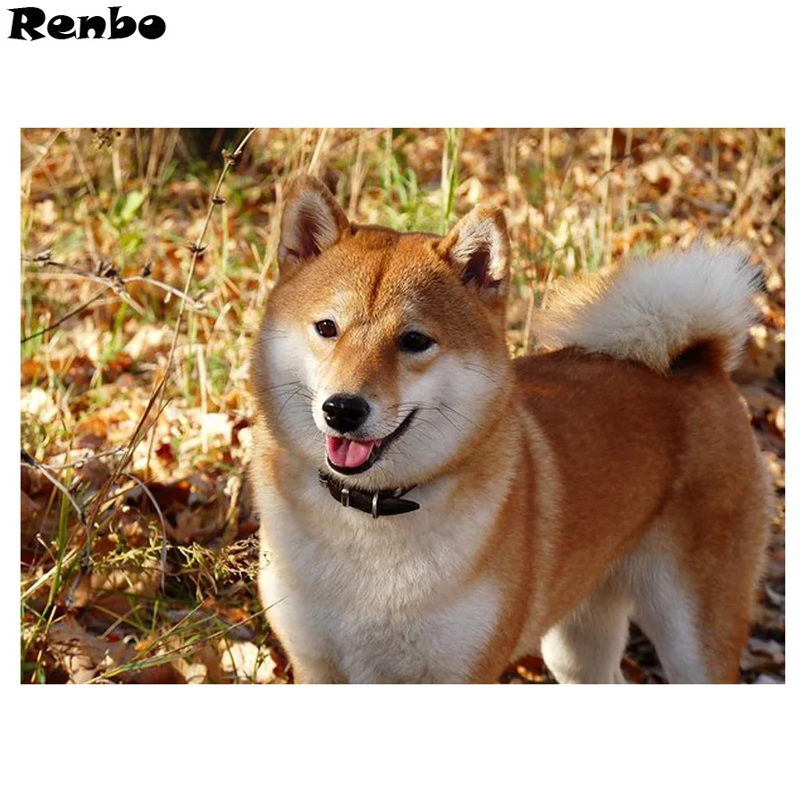 DIY Diamond Painting "Shiba Inu dog" Diamond Embroidery Pictures of Rhinestones Full Resin 5D Mosaic Diamond Art Home Decor
DIY Diamond Painting "Shiba Inu dog" Diamond Embroidery Pictures of Rhinestones Full Resin 5D Mosaic Diamond Art Home Decor