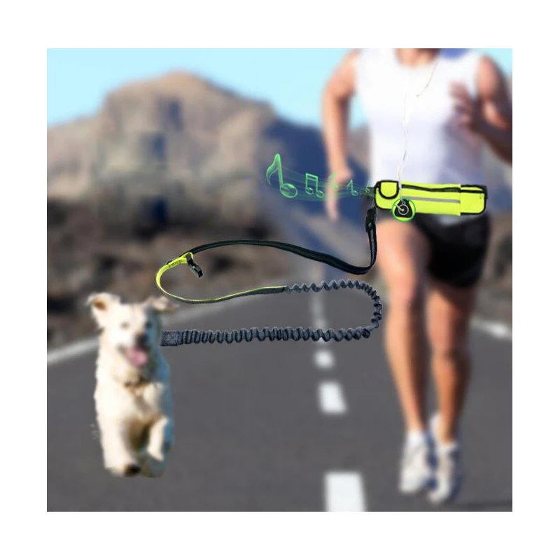 Hand Free Nylon Waist Dog Leash Adjustable Padded Waist Reflective Running Jogging Walking Pet Lead Belt With Pouch Bags
Hand Free Nylon Waist Dog Leash Adjustable Padded Waist Reflective Running Jogging Walking Pet Lead Belt With Pouch Bags