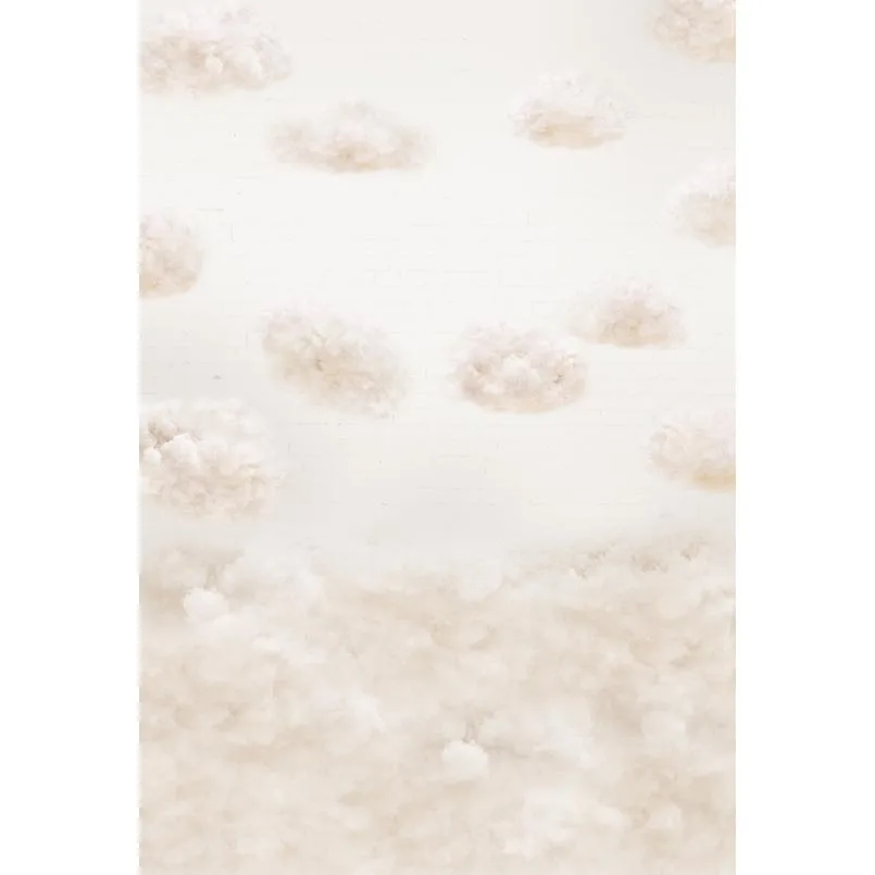 5x7ft Velvet Grey Clouds Sky Seamless Washable One Piece No Wrinkle Banner Photo Studio Background Backdrop Polyester Fabric
5x7ft Velvet Grey Clouds Sky Seamless Washable One Piece No Wrinkle Banner Photo Studio Background Backdrop Polyester Fabric