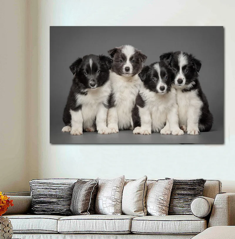Милый маленький бордюр щенки животные собаки фото DW49 комната дом стена