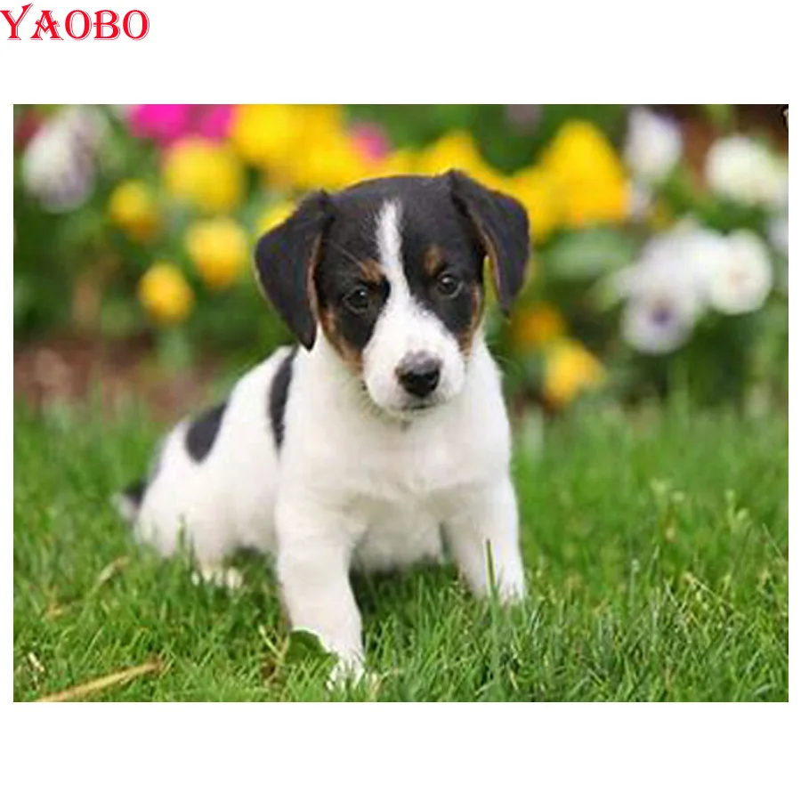 5d diy diamond Painting jack russel terrier Cross Stitch full square round drill mosaic Rhinestone pictures diamond embroidery
5d diy diamond Painting jack russel terrier Cross Stitch full square round drill mosaic Rhinestone pictures diamond embroidery