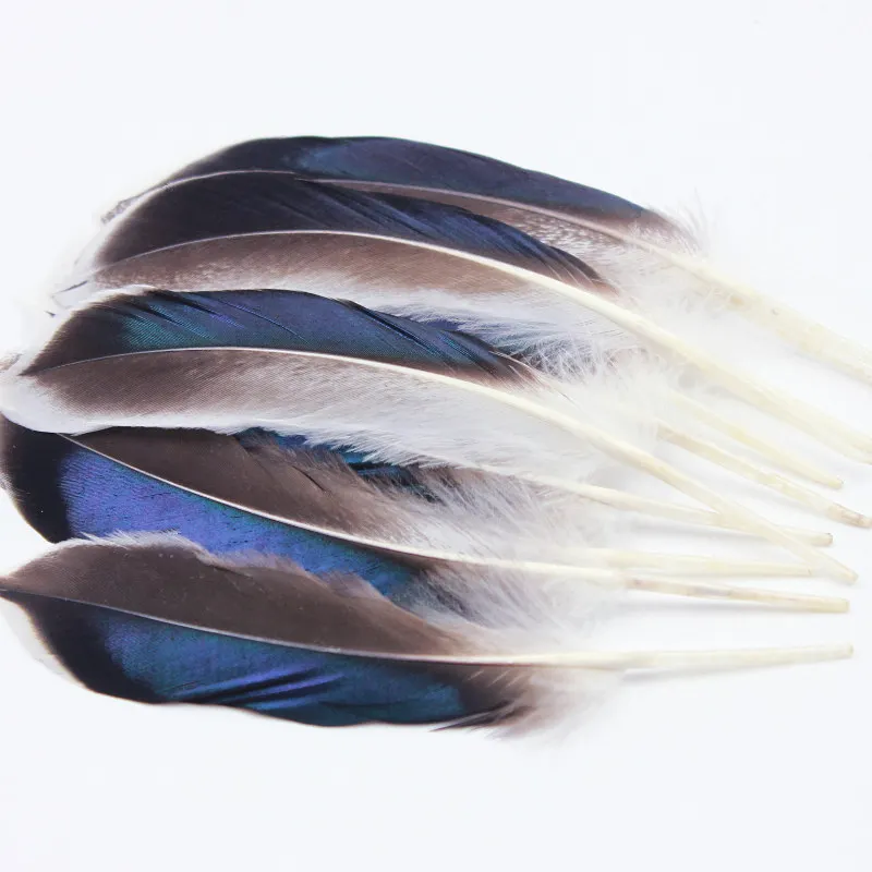 50pcs 12-14cm Beautiful Pheasant Feather Goose Feather Clothing Necklace earrings dance accessories Decorative Feather YM-27
50pcs 12-14cm Beautiful Pheasant Feather Goose Feather Clothing Necklace earrings dance accessories Decorative Feather YM-27