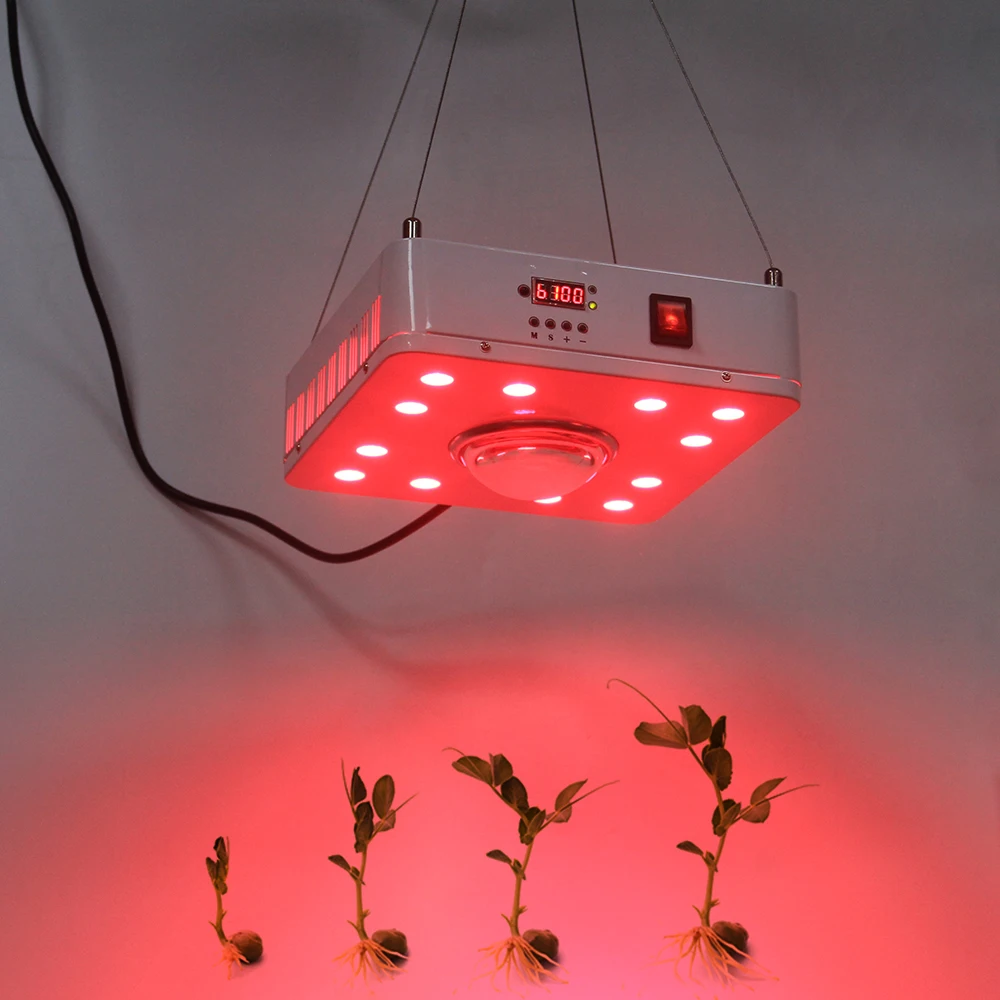 CREE CXB3590 COB LED Grow Light Full Spectrum 100W 600W 3500k MeanWell Driver for growTent Greenhouses Hydroponics led grow lamp
CREE CXB3590 COB LED Grow Light Full Spectrum 100W 600W 3500k MeanWell Driver for growTent Greenhouses Hydroponics led grow lamp
