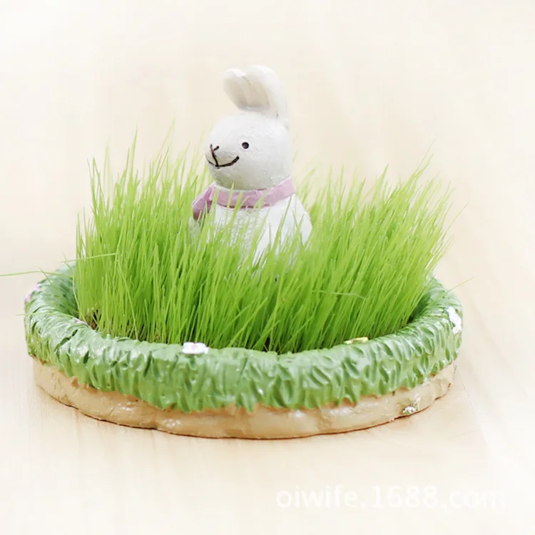 Прямое производство Mr. E возможность культивирования в качестве украшения для