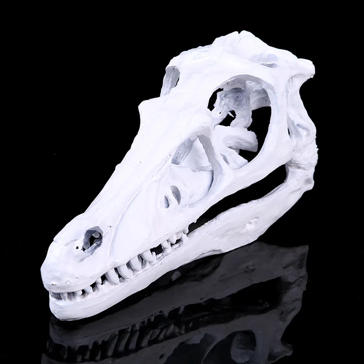 Top-grade Monolophosaurus Fossil Resin Dinosaur Skull Model Halloween gifts home Decoration
Top-grade Monolophosaurus Fossil Resin Dinosaur Skull Model Halloween gifts home Decoration
