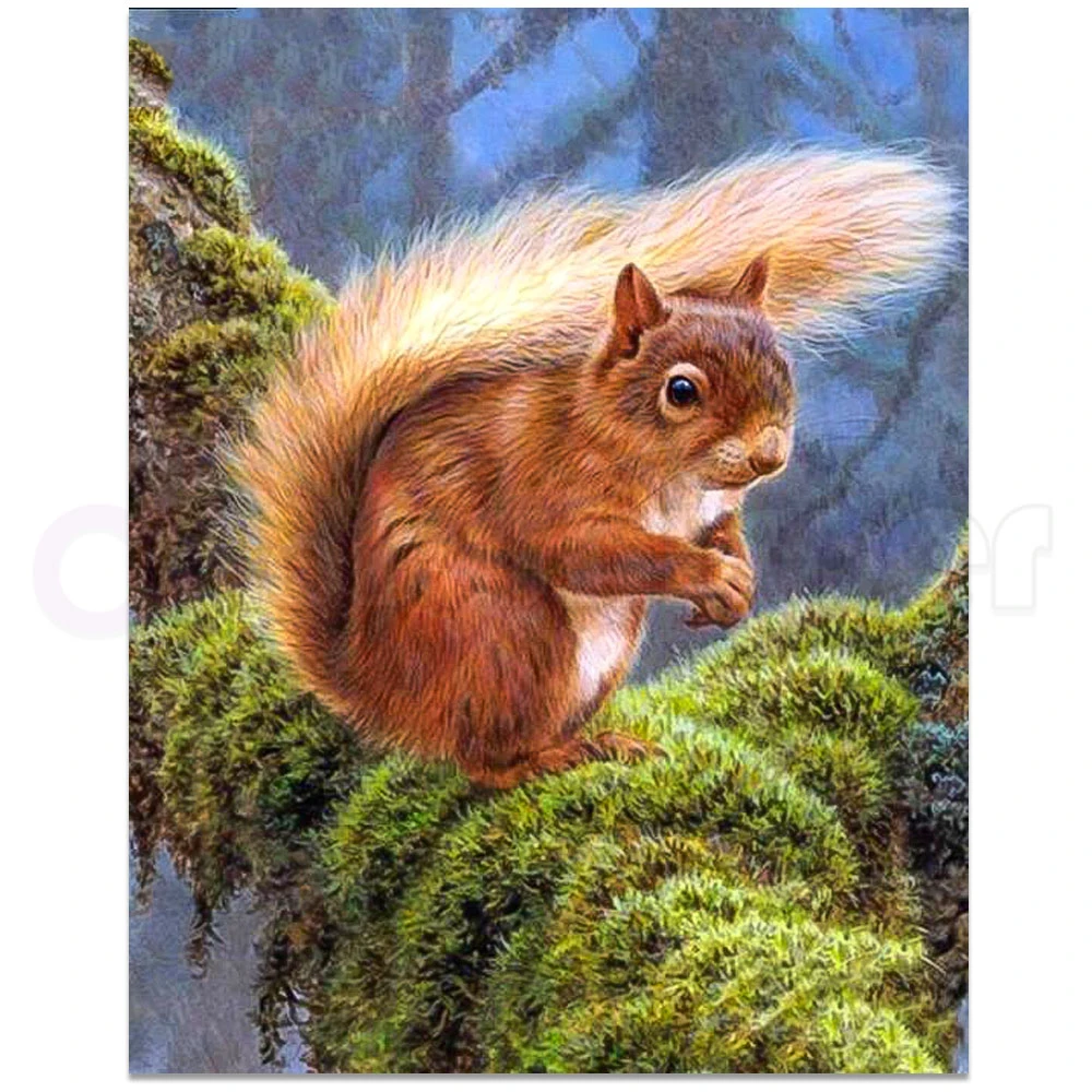 Diamond Mosaic Art 5D Full Square / Round Squirrel Animal Squirrel Diamond Painting Wall Mosaic Rhinestone Embroidery Decoration
Diamond Mosaic Art 5D Full Square / Round Squirrel Animal Squirrel Diamond Painting Wall Mosaic Rhinestone Embroidery Decoration