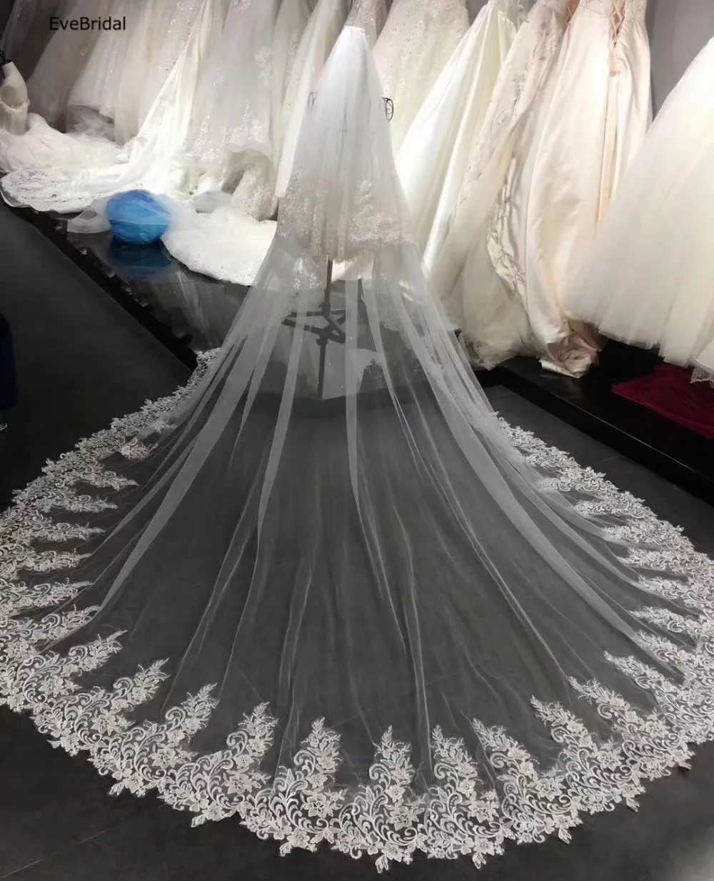 3 Meters White and Ivory Lace Cathedral Length Applique Edge Wedding Bridal Veil with Comb
3 Meters White and Ivory Lace Cathedral Length Applique Edge Wedding Bridal Veil with Comb