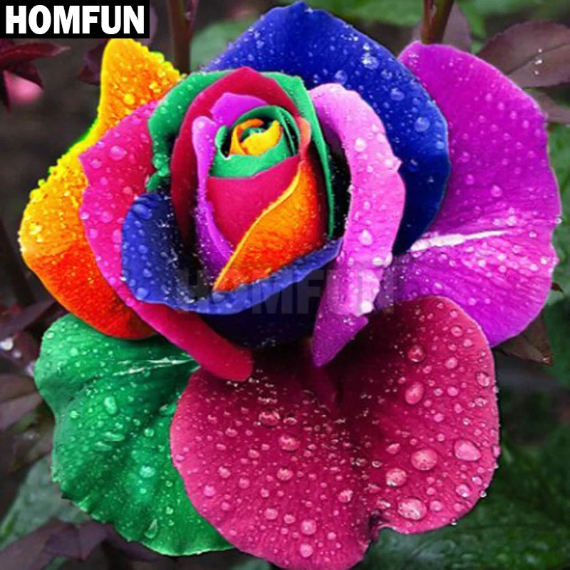 HOMFUN Full Square/Round Drill 5D DIY Diamond Painting "Colored rose flower" 3D Embroidery Cross Stitch 5D Home Decor A00163
HOMFUN Full Square/Round Drill 5D DIY Diamond Painting "Colored rose flower" 3D Embroidery Cross Stitch 5D Home Decor A00163
