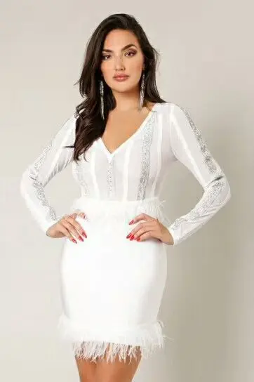 white Feathers Mesh Bandage dress 2019 NEW Women V-Neck long sleeve Vestidos Celebrity evening Party Bodycon dresses
white Feathers Mesh Bandage dress 2019 NEW Women V-Neck long sleeve Vestidos Celebrity evening Party Bodycon dresses