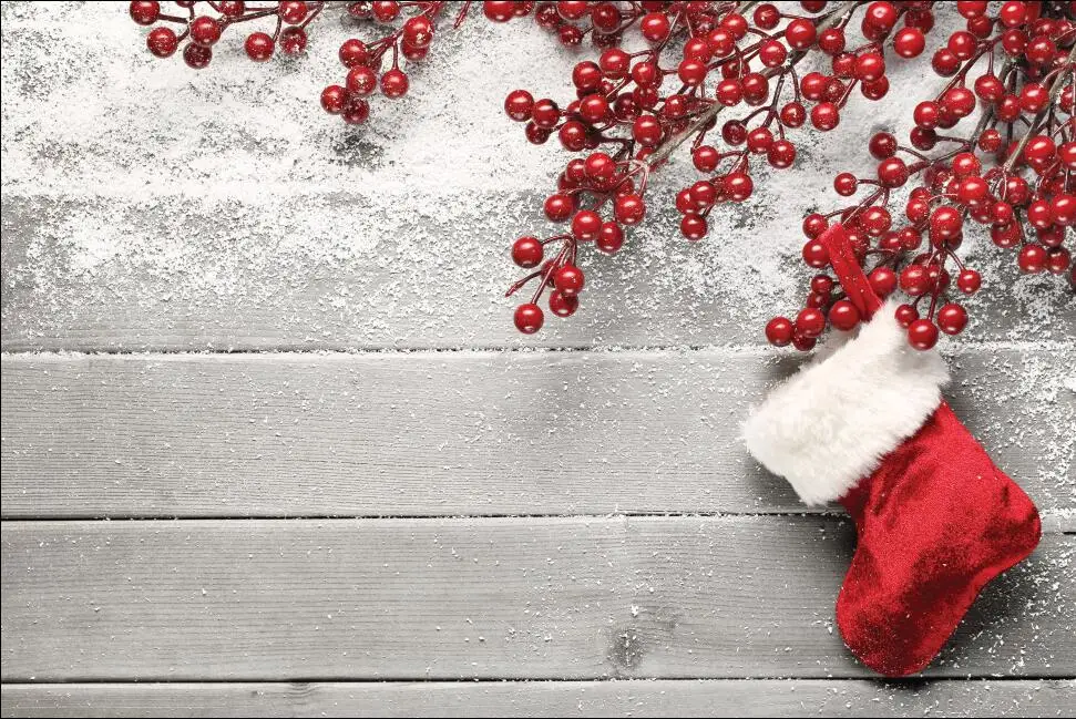 SHENGYONGBAO Vinyl Custom Photography Backdrops Photo Studio Props Wood Planks and Christmas theme Photography Background SZ-09
SHENGYONGBAO Vinyl Custom Photography Backdrops Photo Studio Props Wood Planks and Christmas theme Photography Background SZ-09