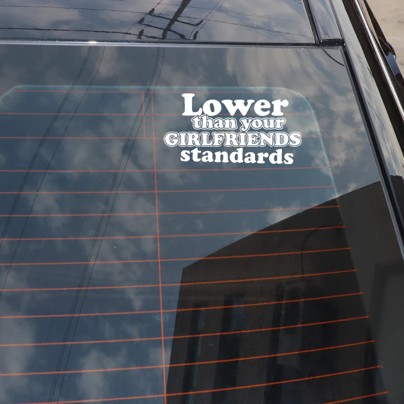 QYPF 16.5CM*8.5CM Lower Than Your Girlfriends Standards Funny Vinyl Car Sticker Decal Black Silver C15-3026
QYPF 16.5CM*8.5CM Lower Than Your Girlfriends Standards Funny Vinyl Car Sticker Decal Black Silver C15-3026