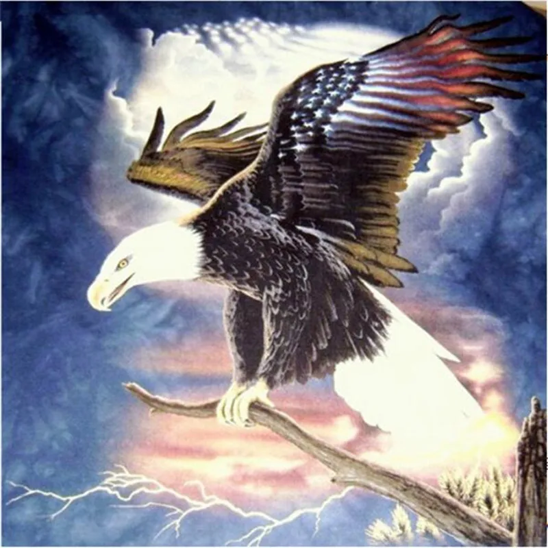Peter ren Diamond painting cross stitch DIY Diamond embroidery animal 3d Square & Round icon mosaic Full Drawing Branch Falcon
Peter ren Diamond painting cross stitch DIY Diamond embroidery animal 3d Square & Round icon mosaic Full Drawing Branch Falcon
