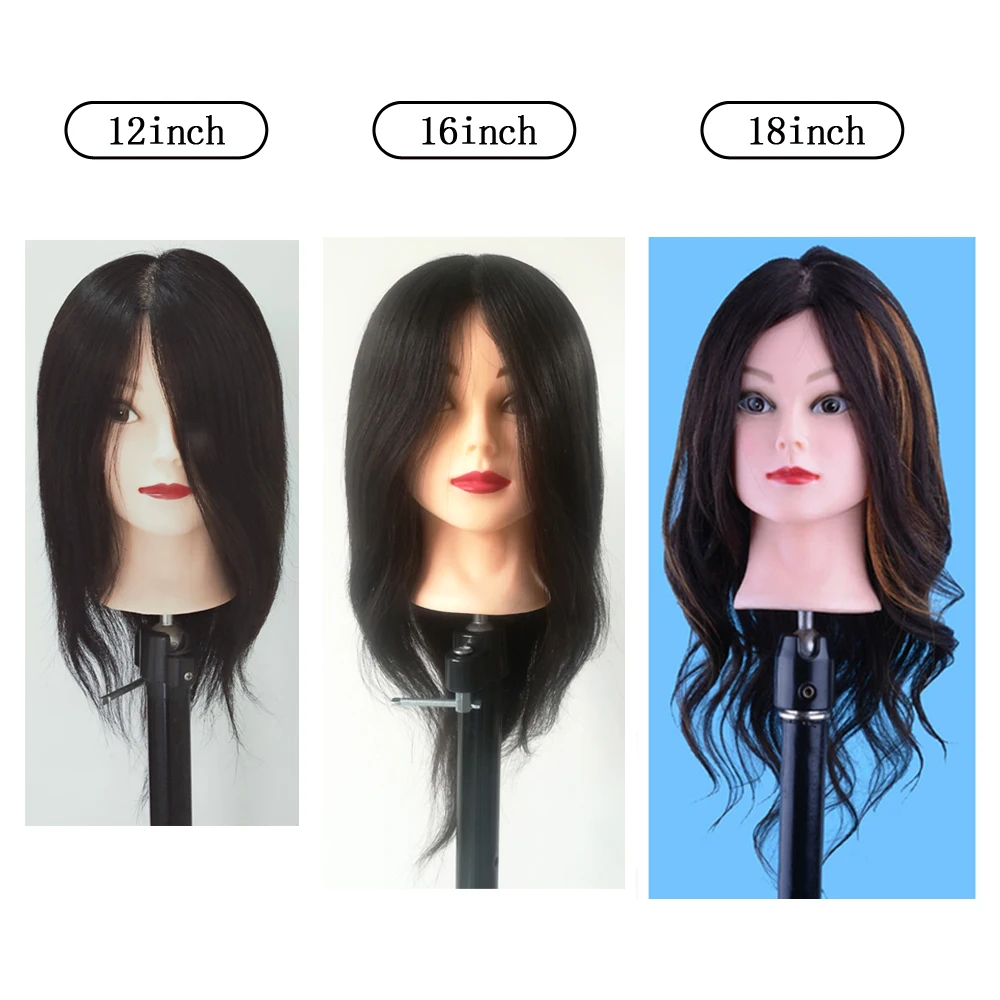 Mannequin Head With 100% Human Hair Cosmetology Hairdresser Training Head Manikin Black Color In Mannequins Dolls Head
Mannequin Head With 100% Human Hair Cosmetology Hairdresser Training Head Manikin Black Color In Mannequins Dolls Head