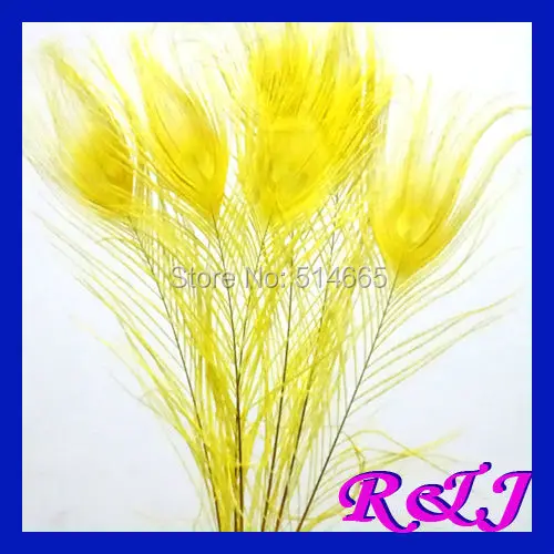 Free Shipping! 50pcs/lot 25-30cm 10-12" Top quality Yellow colored peacock feathers plumes plumage
Free Shipping! 50pcs/lot 25-30cm 10-12" Top quality Yellow colored peacock feathers plumes plumage