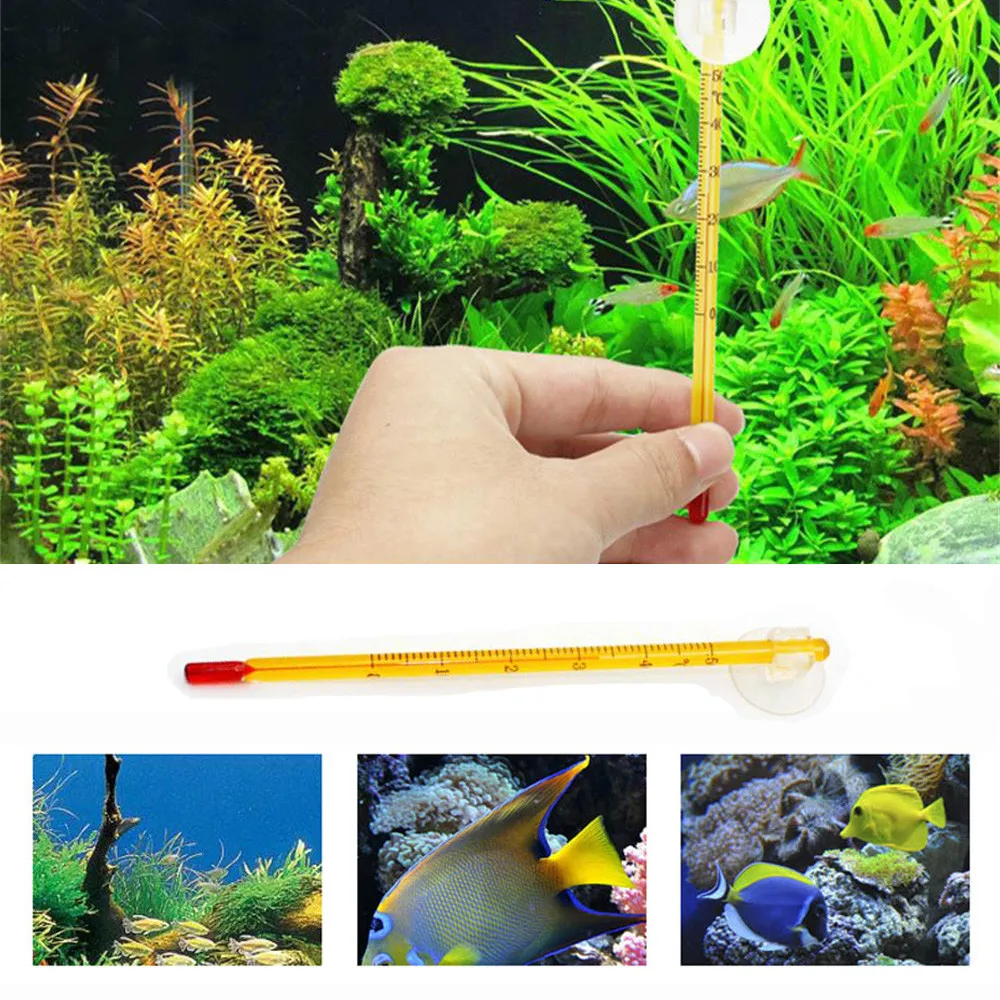 New Glass Meter Aquarium Fish Tank Water Temperature Thermometer Suction Cup | Дом и сад