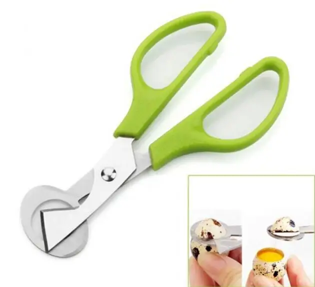 New Arrival Pigeon Quail Egg scissor Bird Cutter Opener Kitchen Tool Clipper Cigar Cracker Blade ..
New Arrival Pigeon Quail Egg scissor Bird Cutter Opener Kitchen Tool Clipper Cigar Cracker Blade ..