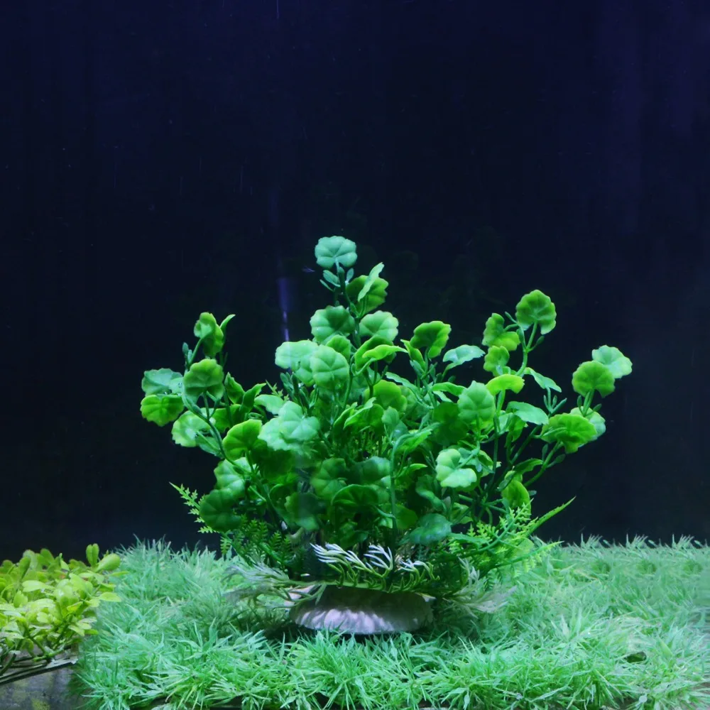 Aquarium Plants Artificial Decorative Fish Plant Aquarium Accessories Aquario Water Grass Plastic Plant Ornament for Aquarium
Aquarium Plants Artificial Decorative Fish Plant Aquarium Accessories Aquario Water Grass Plastic Plant Ornament for Aquarium