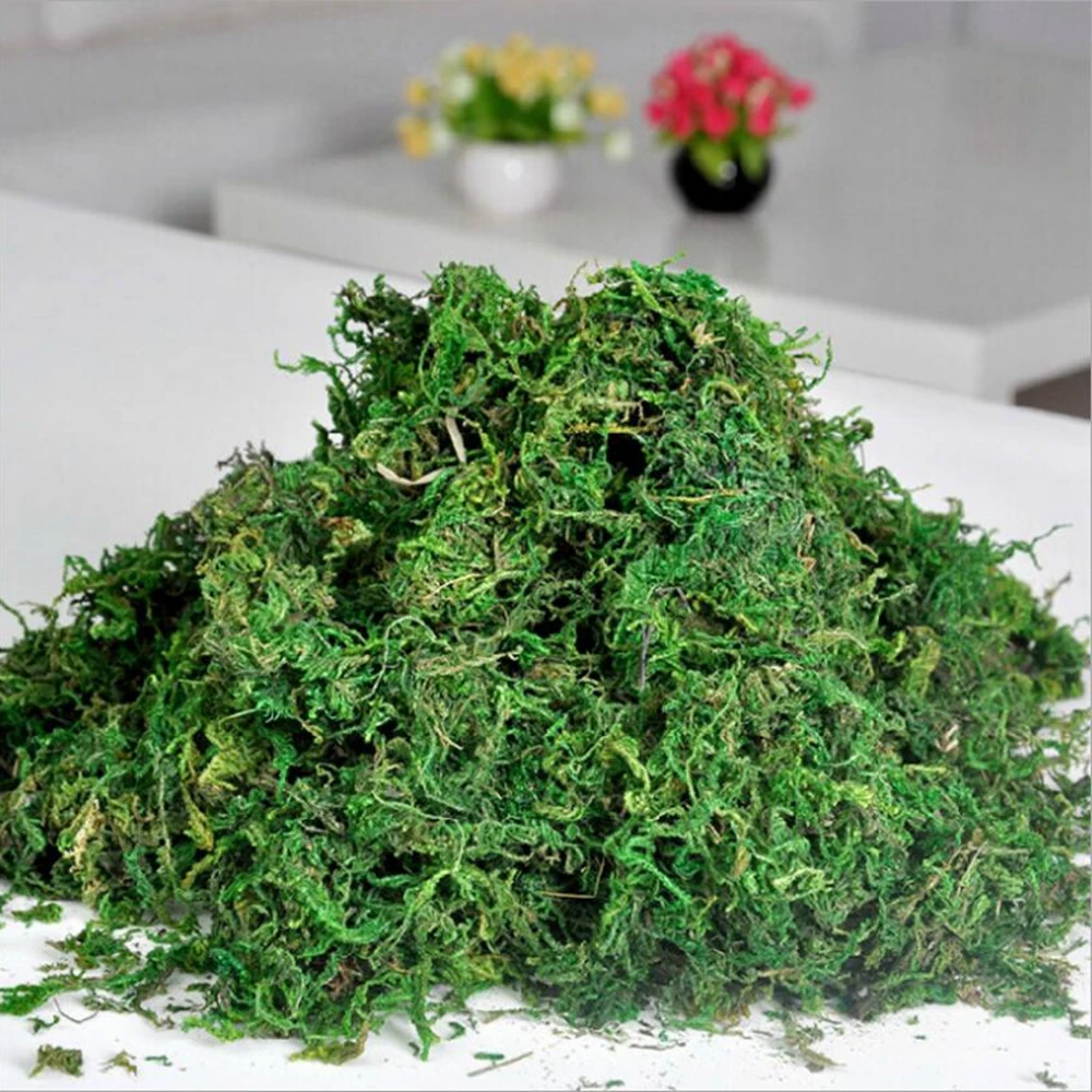 40g/lot artificial flower moss simulation plant turf decoration flower arrangement decoration material DIY potted moss
40g/lot artificial flower moss simulation plant turf decoration flower arrangement decoration material DIY potted moss