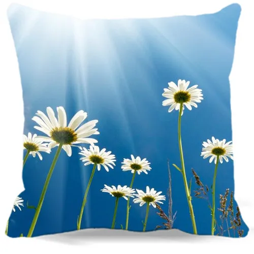 Square Pillow Case 16" 18" 19" cushion Cover for Kids Blue Green Super Soft Gift white yellow Chrysanthemum Flowers pattern
Square Pillow Case 16" 18" 19" cushion Cover for Kids Blue Green Super Soft Gift white yellow Chrysanthemum Flowers pattern