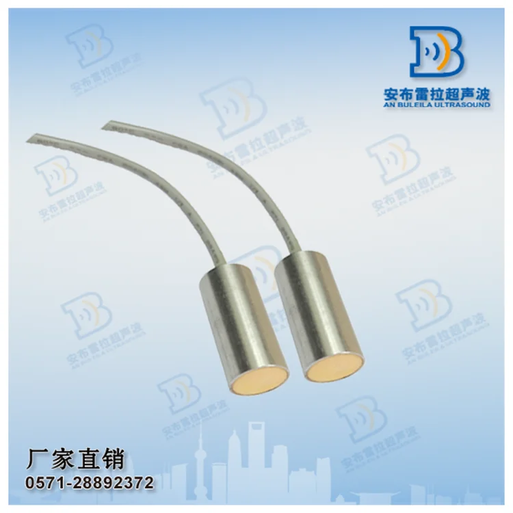 Custom Ambrera wind speed, wind direction, ultrasonic transducer, multiple frequencies to choose from.
Custom Ambrera wind speed, wind direction, ultrasonic transducer, multiple frequencies to choose from.