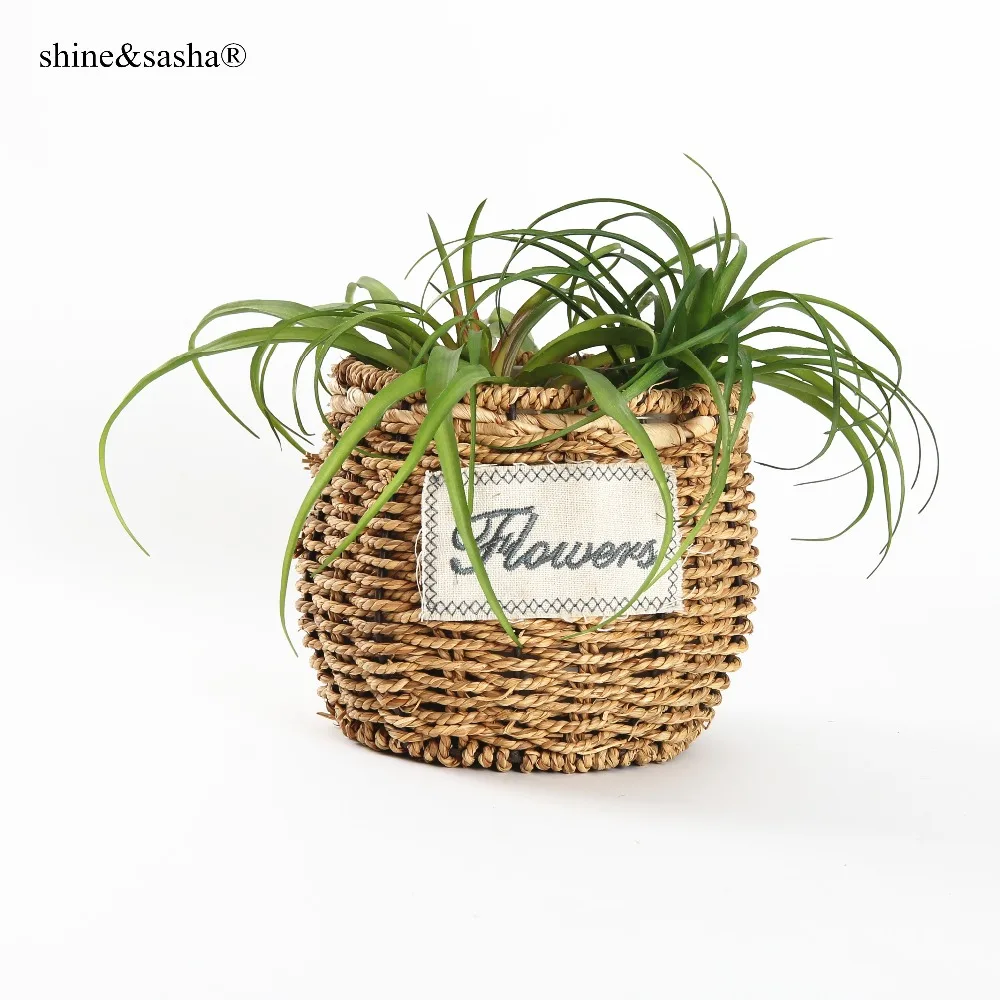 2018 new arrival artificial airplant Tillandsia artificial plant succulent Pineapple leaf
2018 new arrival artificial airplant Tillandsia artificial plant succulent Pineapple leaf
