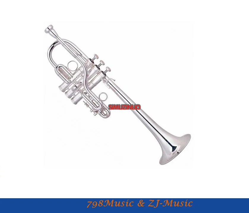 Professional New Silver Plated Eb/D Trumpet Valves With Case Bore suze 11.6mm,Bell DAI.120mm
Professional New Silver Plated Eb/D Trumpet Valves With Case Bore suze 11.6mm,Bell DAI.120mm