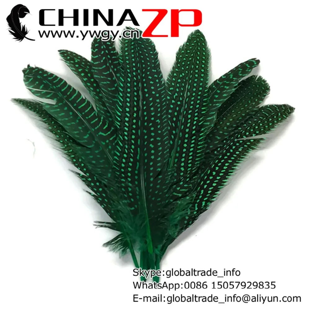 CHINAZP Factory www.ywgy.cn 15~20cm Length 200pcs/lot Beautiful Polka Dot Dyed Green Guinea Fowl Quill Feathers
CHINAZP Factory www.ywgy.cn 15~20cm Length 200pcs/lot Beautiful Polka Dot Dyed Green Guinea Fowl Quill Feathers