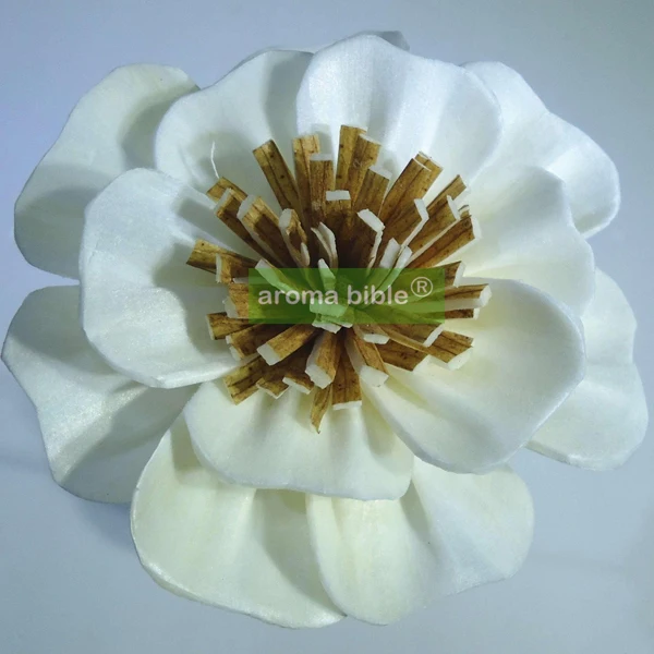 1000 pcs /lot Handmade sola wood flowers for fragrance diffuser and home decor with 12cm Rope or rattan reed sticks Top quality
1000 pcs /lot Handmade sola wood flowers for fragrance diffuser and home decor with 12cm Rope or rattan reed sticks Top quality