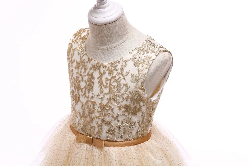 Baby Girls Golden Thread Embroidery Elegant Party Dress for Girls Wedding Dress Kids Dresses for Toddler Girls Christmas clothes
Baby Girls Golden Thread Embroidery Elegant Party Dress for Girls Wedding Dress Kids Dresses for Toddler Girls Christmas clothes