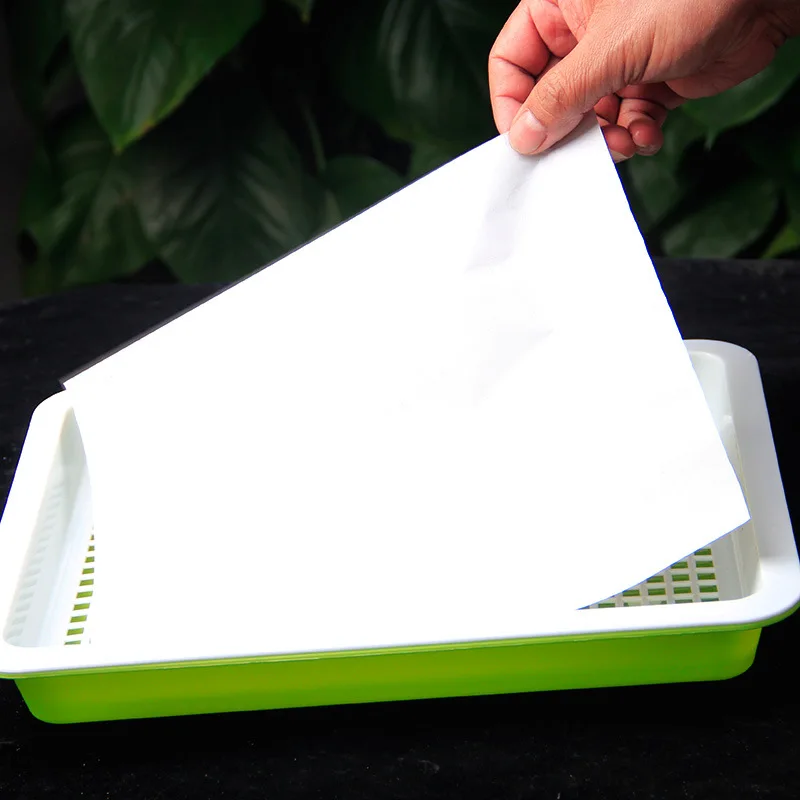 100pcs! Soilless Cultivation Nursery Paper Biodegradable Moisturizing Bean Sprout Seedling Trays for Vegetable Planting Tool
100pcs! Soilless Cultivation Nursery Paper Biodegradable Moisturizing Bean Sprout Seedling Trays for Vegetable Planting Tool
