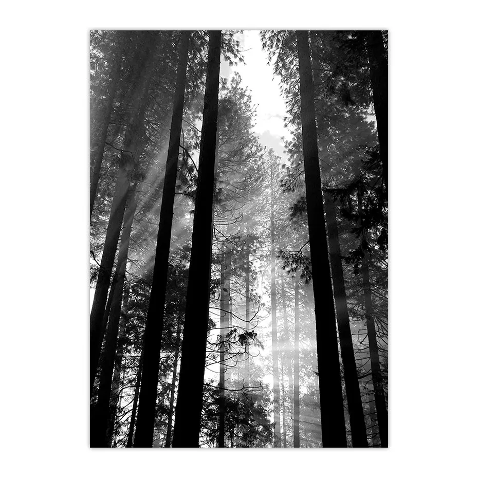 Poster Art Forest Deer Woodland Nordic Posters and Prints Scandinavian Decor Wall Picture for Living Room Wall Art Canvas Print
Poster Art Forest Deer Woodland Nordic Posters and Prints Scandinavian Decor Wall Picture for Living Room Wall Art Canvas Print