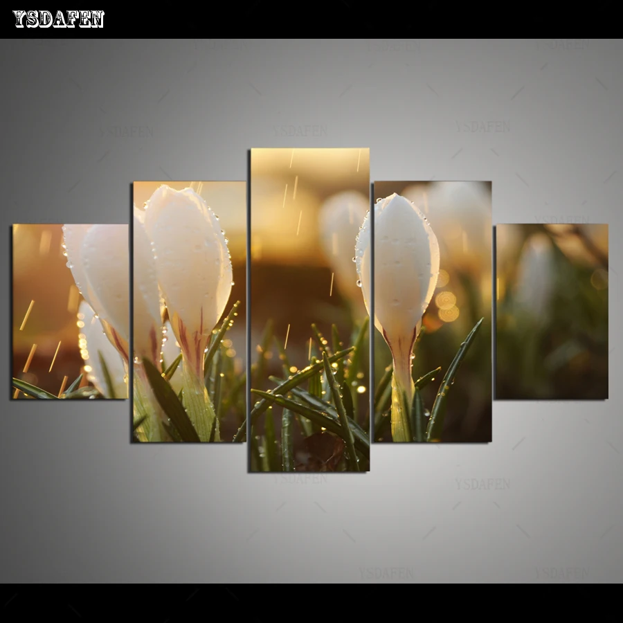 HD print olieverf Film modulaire foto Scenery poster kind room decor woondecoratie 5 stks canvas art
HD print olieverf Film modulaire foto Scenery poster kind room decor woondecoratie 5 stks canvas art