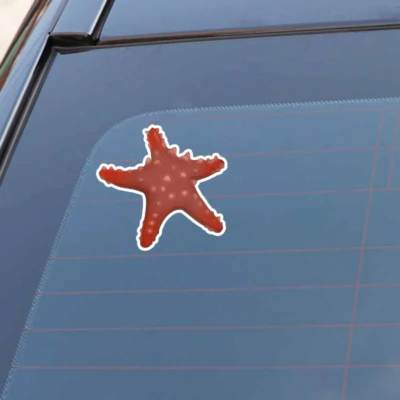 YJZT 12.5CM*11.8CM Originality Marine Life Starfish PVC Car Sticker Decal Decor 5-0360
YJZT 12.5CM*11.8CM Originality Marine Life Starfish PVC Car Sticker Decal Decor 5-0360