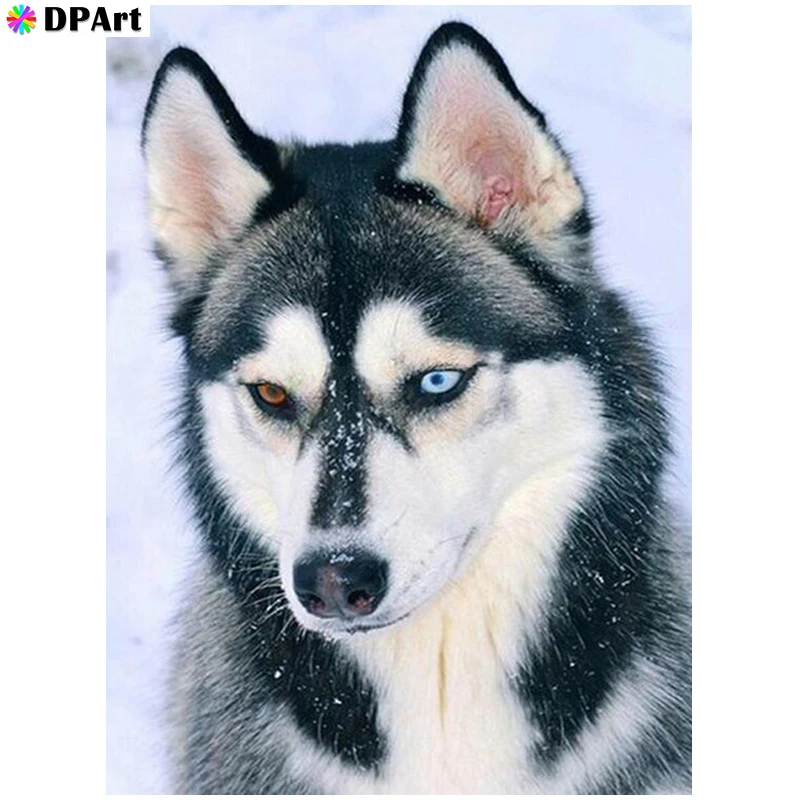 Алмазная живопись Full Square/Round Drill Lovely Husky 5D Daimond Живопись Набор для вышивки крестом