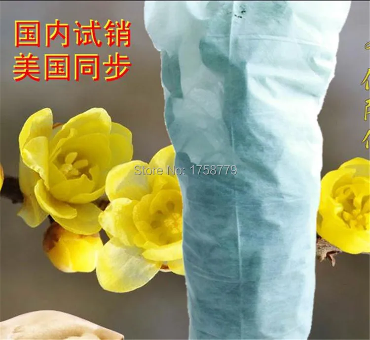 Plant protection cover cold Pachira tree cover and other valuable trees cold thick non-woven cover gardening 80*120cm
Plant protection cover cold Pachira tree cover and other valuable trees cold thick non-woven cover gardening 80*120cm
