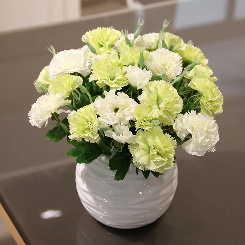Simulation carnations plants Potted set Artificial Silk flowers Small bonsai green plants pot culture Mother's day giftHome Deco
Simulation carnations plants Potted set Artificial Silk flowers Small bonsai green plants pot culture Mother's day giftHome Deco